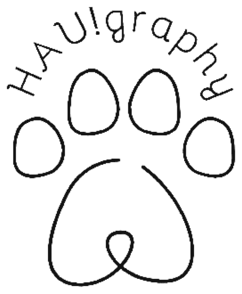 HAUgraphy HAUgraphy